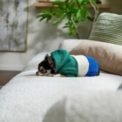 Frisco Colorblock Dog & Cat Hoodie With Sleeves 16 Frisco Colorblock Dog & Cat Hoodie With Sleeves -Pawfect Care 267968 PT6. AC SS1800 V1637715446