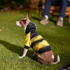 Frisco Rebel Dog & Cat Hoodie -Pawfect Care 267994 PT6. AC SS1800 V1637730463