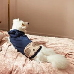 Frisco Sloth Pocket Dog & Cat Lightweight Hoodie -Pawfect Care 268018 PT8. AC SS1800 V1629761810