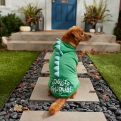 Frisco Doggiesaurus Dog & Cat Hoodie, Green -Pawfect Care 268033 PT6. AC SS1800 V1637671011