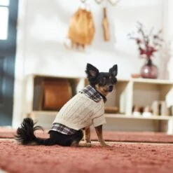 Frisco Cream Cable Knit Dog & Cat Sweater, White/Red Plaid -Pawfect Care 268057 PT8. AC SS1800 V1629766069