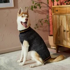 Frisco Heathered Knit Dog & Cat Sweater With 60% Recycled Content -Pawfect Care 268159 PT8. AC SS1800 V1629758773