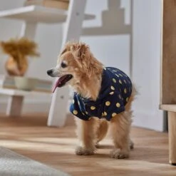 Frisco Lightweight Gold Dotted Dog & Cat Jacket, Navy -Pawfect Care 268247 PT8. AC SS1800 V1629758988