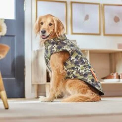 Frisco Mediumweight Camo Print Insulated Dog & Cat Zippered Coat, Green -Pawfect Care 268295 PT8. AC SS1800 V1629755320