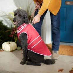 Frisco Mediumweight Reflective Water-Resistant Insulated Dog & Cat Coat -Pawfect Care 268342 PT8. AC SS1800 V1629764397