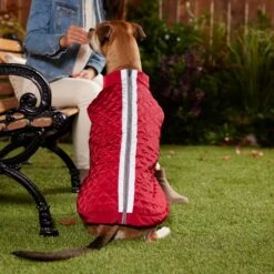 Frisco Mediumweight Reflective 2-in-1 Dog & Cat Fleece Coat -Pawfect Care 268359 PT8. AC SS1800 V1629759326