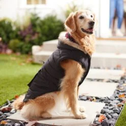 Frisco Mid-Heavyweight Cinching Insulated Dog & Cat Parka, Black/Red Plaid -Pawfect Care 268382 PT8. AC SS1800 V1629762008