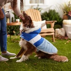 Frisco Heavyweight Chevron Insulated Dog & Cat Parka With Pocket -Pawfect Care 268405 PT8. AC SS1800 V1629766395