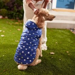 Frisco Mediumweight Metallic Star Print Insulated Dog & Cat Parka, Navy -Pawfect Care 268413 PT8. AC SS1800 V1629757357