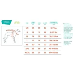 Frisco Mediumweight Colorblock Adventure Insulated Dog & Cat Parka -Pawfect Care 268421 PT1. AC SS1800 V1628641019