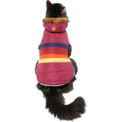 Frisco Mediumweight Colorblock Adventure Insulated Dog & Cat Parka -Pawfect Care 268421 PT2. AC SS1800 V1628779779