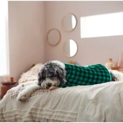 Frisco Dog & Cat Cozy Plush Fleece PJs, Green Plaid -Pawfect Care 268517 PT8. AC SS1800 V1629755447