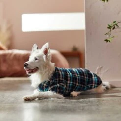 Frisco Multi-Plaid Dog & Cat Flannel Shirt -Pawfect Care 268588 PT7. AC SS1800 V1637674022
