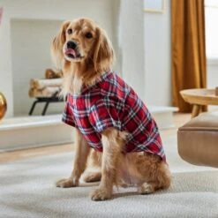 Frisco Red Plaid Dog & Cat Shirt -Pawfect Care 268604 PT8. AC SS1800 V1629757681