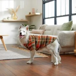 Frisco Orange & Olive Plaid Dog & Cat Flannel Shirt -Pawfect Care 268612 PT7. AC SS1800 V1637721727