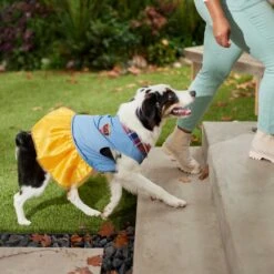 Frisco Chambray Plaid Dog & Cat Dress -Pawfect Care 268637 PT6. AC SS1800 V1637730174