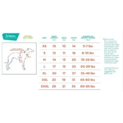 Frisco Better Together Dog & Cat Dress -Pawfect Care 268652 PT1. AC SS1800 V1637645822