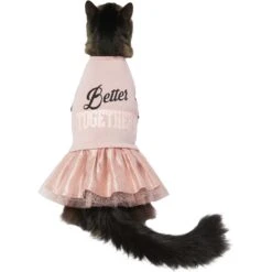 Frisco Better Together Dog & Cat Dress -Pawfect Care 268652 PT3. AC SS1800 V1637668331