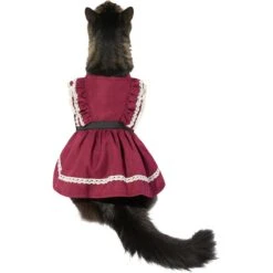 Frisco Plum Dog & Cat Dress -Pawfect Care 268677 PT3. AC SS1800 V1637679087
