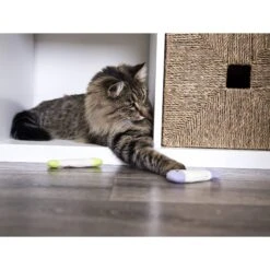 SmartyKat Welcome Home Necessity Pack Cat Toys With Catnip -Pawfect Care 269223 PT3. AC SS1800 V1639012021