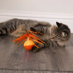 SmartyKat Twirly Tops Replacement Wand Cat Toy, Yellow, 2 Count -Pawfect Care 269237 PT5. AC SS1800 V1639007842