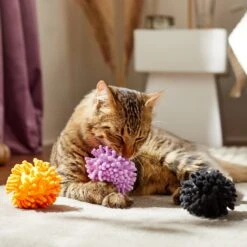 Frisco Halloween Moppy Ball Cat Toy With Catnip -Pawfect Care 270337 PT3. AC SS1800 V1624817812