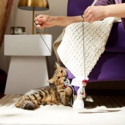 Frisco Sugar Skull Bride & Groom Bouncy Cat Toy With Catnip, 2 Count -Pawfect Care 270343 PT3. AC SS1800 V1624817778