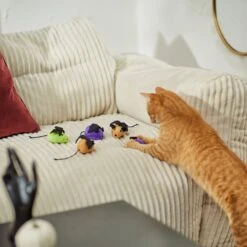 Frisco Halloween Bat Mice Plush Cat Toy With Catnip -Pawfect Care 270353 PT3. AC SS1800 V1624817260