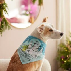 STAR WARS THE MANDALORIAN GROGU "Tis The Season" Dog & Cat Bandana -Pawfect Care 270539 PT8. AC SS1800 V1631664152