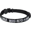 Frisco Nylon Personalized Breakaway Cat Collar With Bell -Pawfect Care 270731 MAIN. AC SS1800 V1619050045