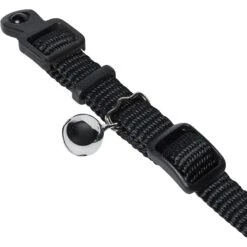 Frisco Nylon Personalized Breakaway Cat Collar With Bell -Pawfect Care 270731 PT2. AC SS1800 V1618936921
