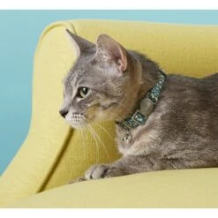 Frisco Pineapple Polyester Personalized Breakaway Cat Collar With Bell -Pawfect Care 271597 PT4. AC SS1800 V1618936919