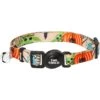 STAR WARS THE MANDALORIAN GROGU Pumpkin Dog Collar -Pawfect Care 272940 MAIN. AC SS1800 V1623273743