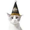 Frisco Happy New Year Dog & Cat Hat -Pawfect Care 276190 MAIN. AC SS1800 V1631302647