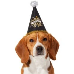Frisco Happy New Year Dog & Cat Hat -Pawfect Care 276190 PT2. AC SS1800 V1631303599