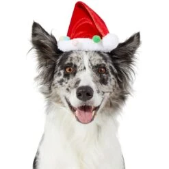 Frisco Holiday Poms Dog & Cat Santa Hat -Pawfect Care 276194 PT2. AC SS1800 V1631303507
