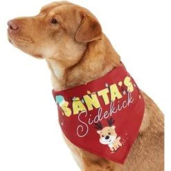 Frisco Santa's Sidekick Dog & Cat Bandana -Pawfect Care 276204 PT2. AC SS1800 V1637653065