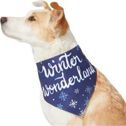 Frisco Winter Wonderland Dog & Cat Bandana -Pawfect Care 276279 PT3. AC SS1800 V1637688134