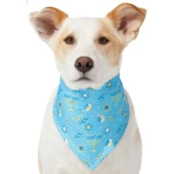 Frisco Festive Hanukkah Dog & Cat Bandana -Pawfect Care 276282 PT3. AC SS1800 V1637673704