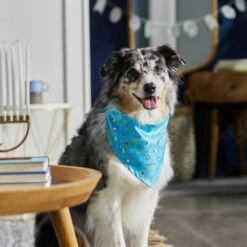 Frisco Festive Hanukkah Dog & Cat Bandana -Pawfect Care 276282 PT5. AC SS1800 V1637653030