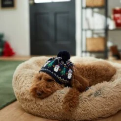 Frisco Jolly Snowman Dog & Cat Knitted Hat -Pawfect Care 276303 PT8. AC SS1800 V1631300384