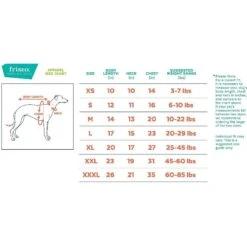 Frisco Happy Hanukkah Dog & Cat T-shirt -Pawfect Care 276480 PT1. AC SS1800 V1637657230