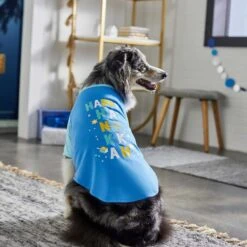 Frisco Happy Hanukkah Dog & Cat T-shirt -Pawfect Care 276480 PT5. AC SS1800 V1637646712