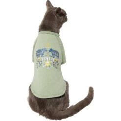 Frisco Joyful Hygge-Inspired Dog & Cat T-shirt -Pawfect Care 276488 PT2. AC SS1800 V1637682097