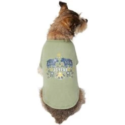 Frisco Joyful Hygge-Inspired Dog & Cat T-shirt -Pawfect Care 276488 PT3. AC SS1800 V1637725670
