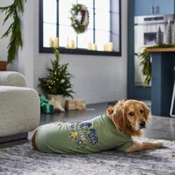 Frisco Joyful Hygge-Inspired Dog & Cat T-shirt -Pawfect Care 276488 PT5. AC SS1800 V1637666798