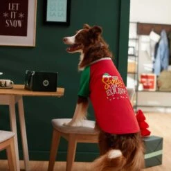 Frisco Santa I Can Explain Dog & Cat T-shirt -Pawfect Care 276496 PT5. AC SS1800 V1637677020