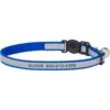 Frisco Polyester Personalized Reflective Cat Collar With Bell -Pawfect Care 276752 MAIN. AC SS1800 V1619458921