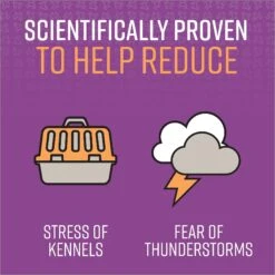 Sentry Good Behavior Calming Spray For Cats -Pawfect Care 276872 PT3. AC SS1800 V1635453410