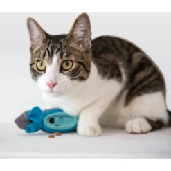 Doc & Phoebe's Cat Co. The Hunting Snacker Interactive Cat Treat Toy, Blue -Pawfect Care 279341 PT3. AC SS1800 V1617402789